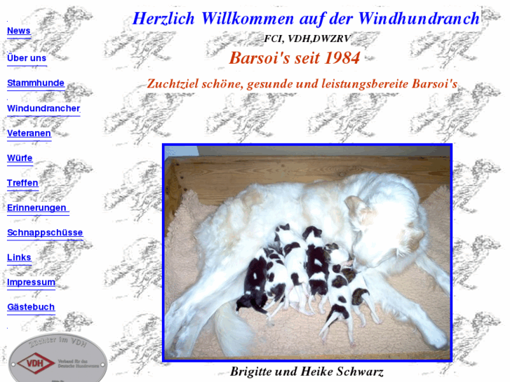 www.windhundranch.de