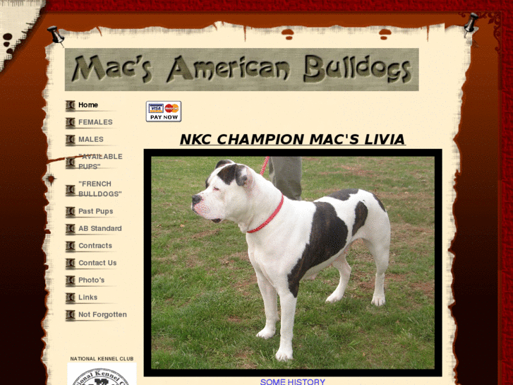 www.wvamericanbulldogs.com