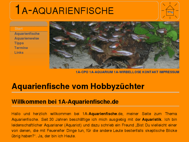 www.1a-aquarienfische.de