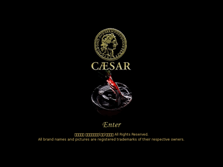 www.caesar-it.com