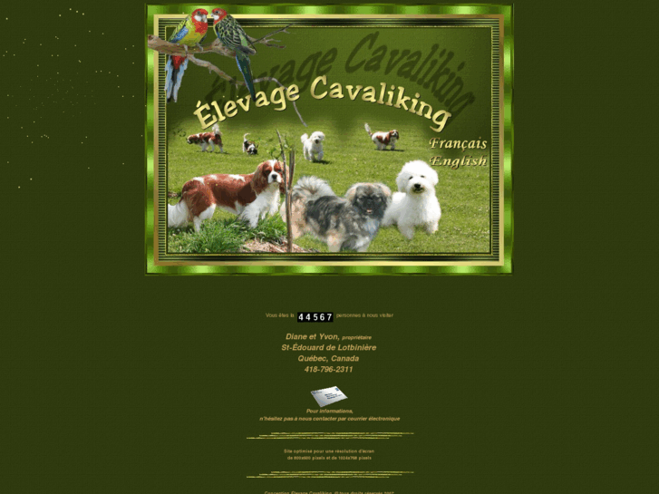 www.cavaliking.com