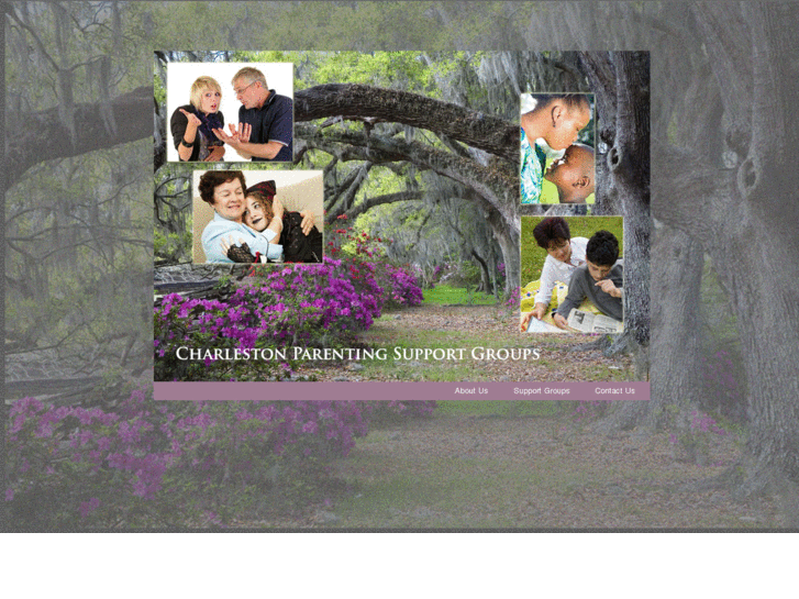 www.charlestonparentingsupportgroups.com