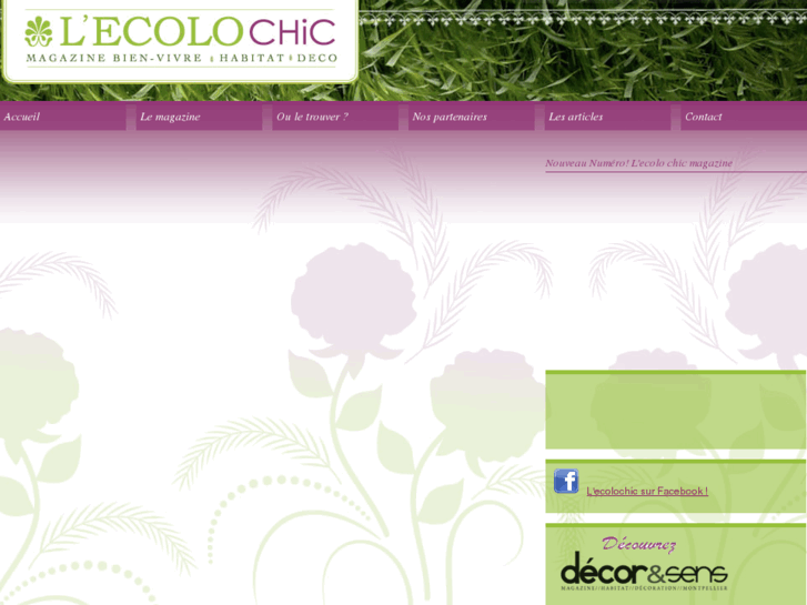 www.ecolochic-mag.com