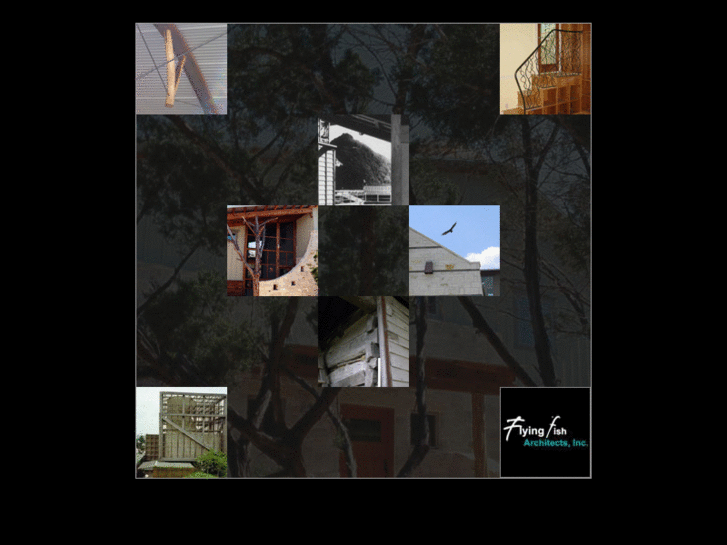 www.flyingfisharchitects.com