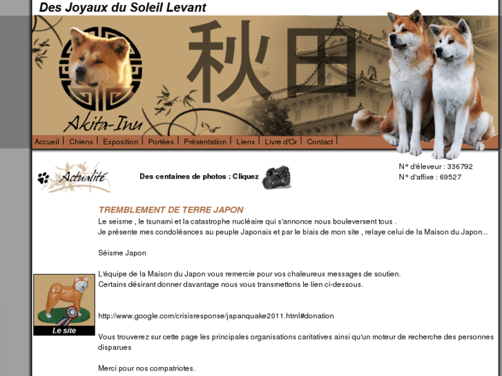 www.joyauxakita.com