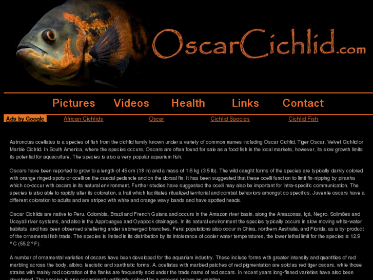 www.oscarcichlid.com