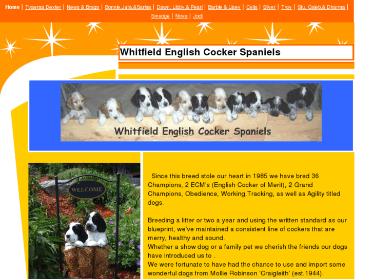 www.whitfieldenglishcockers.com