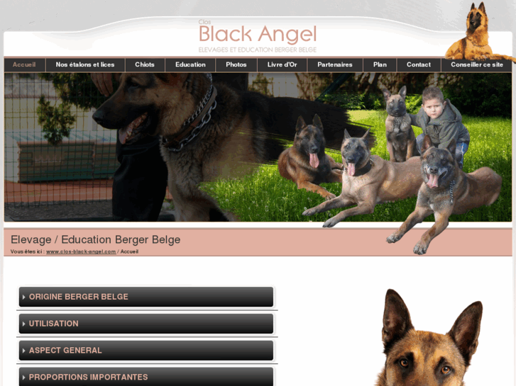 www.clos-black-angel.com