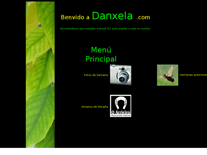 www.danxela.com