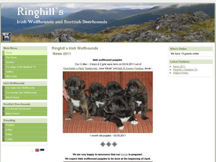 www.ringhills.com