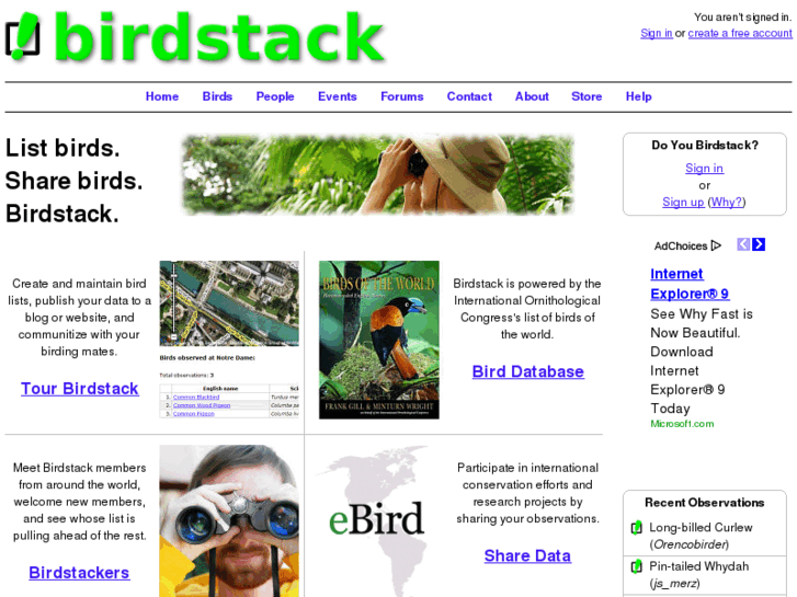 www.birdstack.net