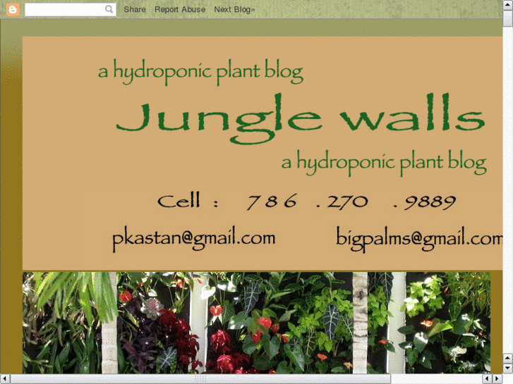 www.junglewallsmiami.com