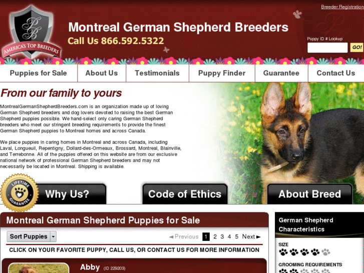 www.montrealgermanshepherdbreeders.com