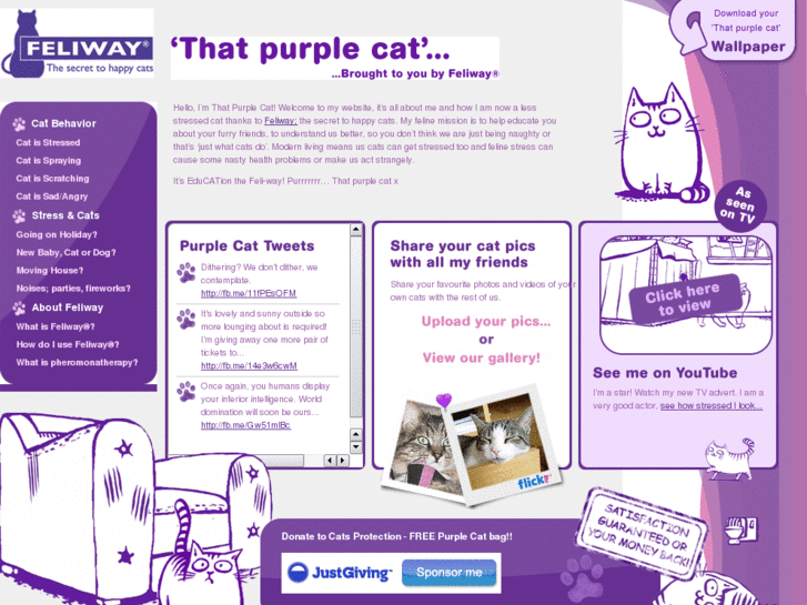 www.thatpurplecat.com