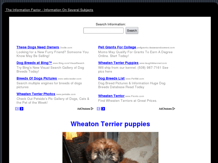 www.wheatonterrierpuppies.com