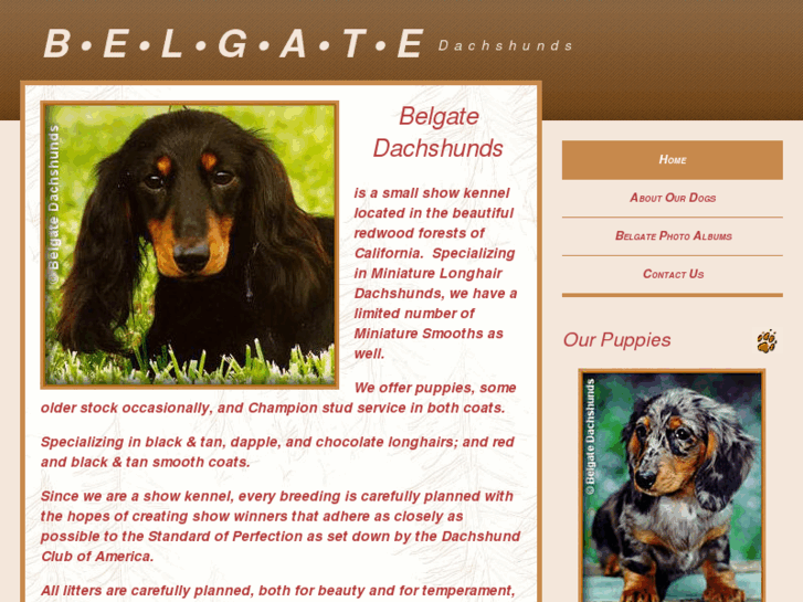 www.belgatedachshunds.com