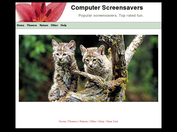 www.computer-screensaver.com