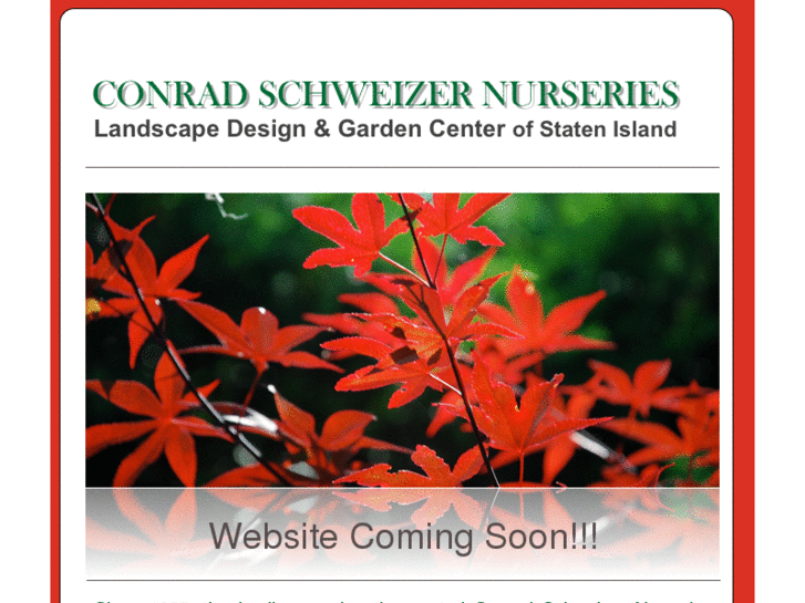 www.conradschweizer.com