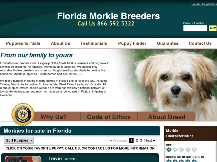 www.floridamorkiebreeders.com