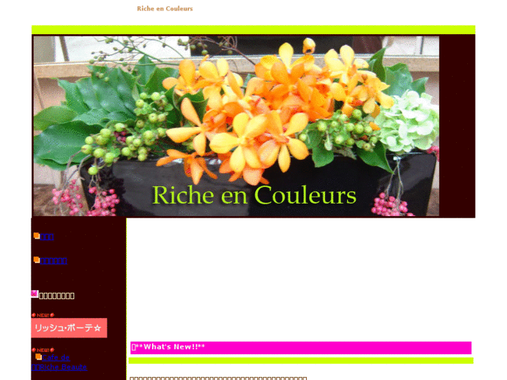 www.riche-en-couleurs.com