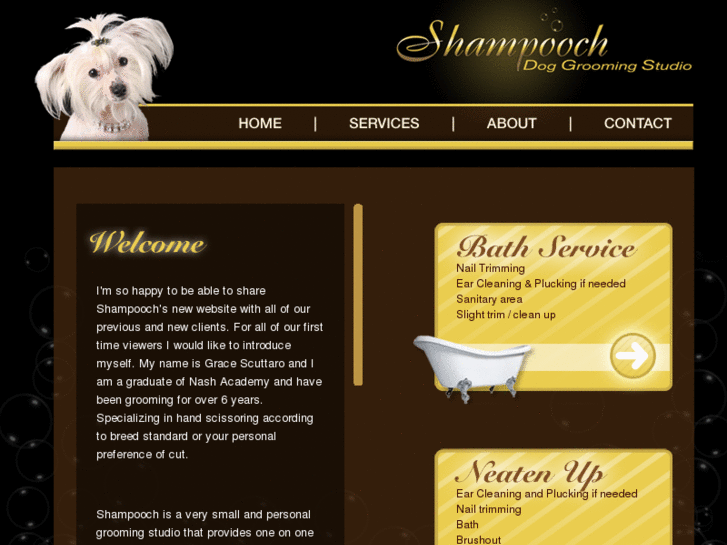 www.shampoochdoggrooming.com