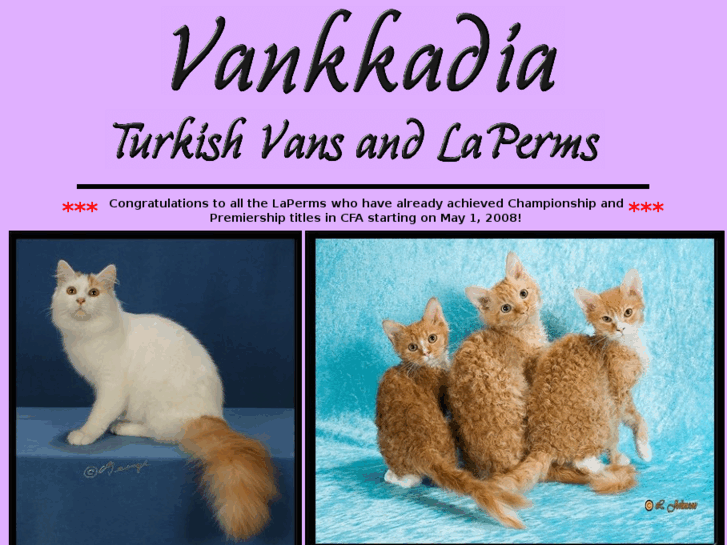 www.vankkadia.com