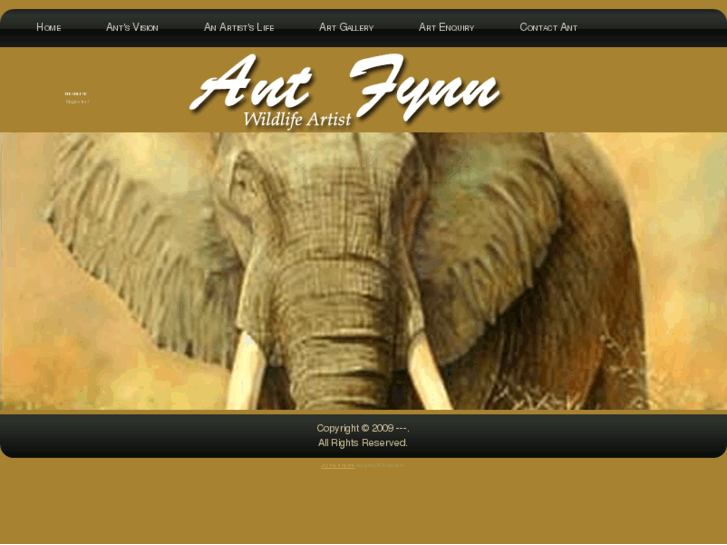 www.antfynnafrica.com