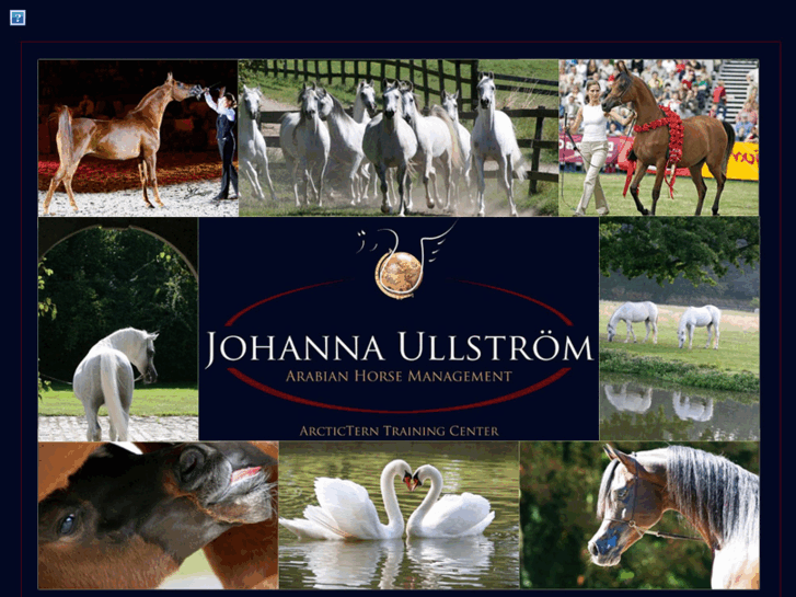 www.johanna-ullstrom.com