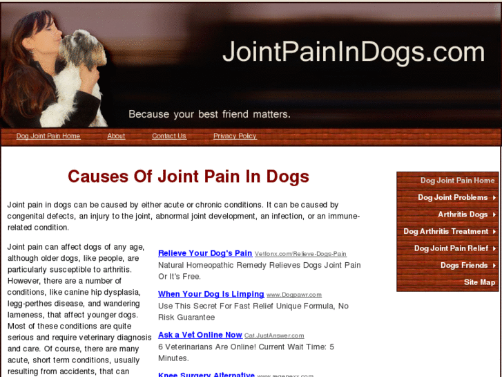 www.jointpainindogs.com