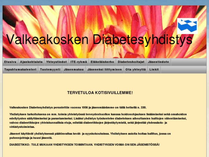 www.valkeakoskendiabetes.com