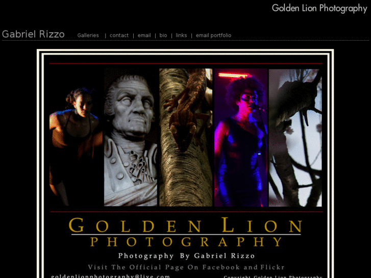 www.goldenlionphotography.com