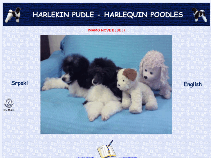 www.harlekin-pudle.in.rs