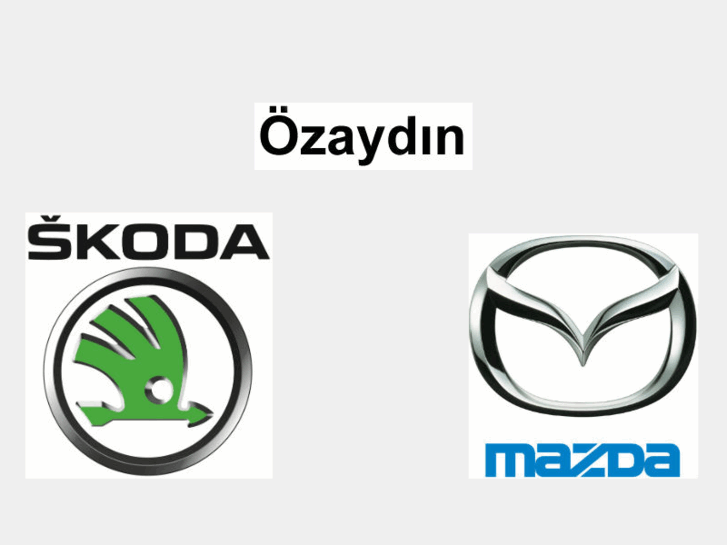 www.ozaydinotomotiv.com