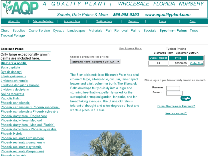 www.qualitypalms.com