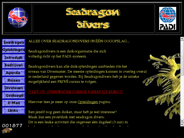 www.seadragondivers.com