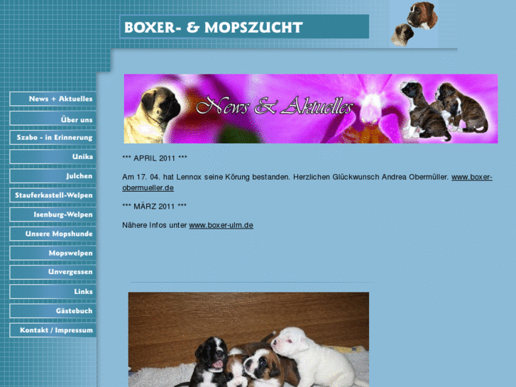 www.stauferkastell-boxer.net