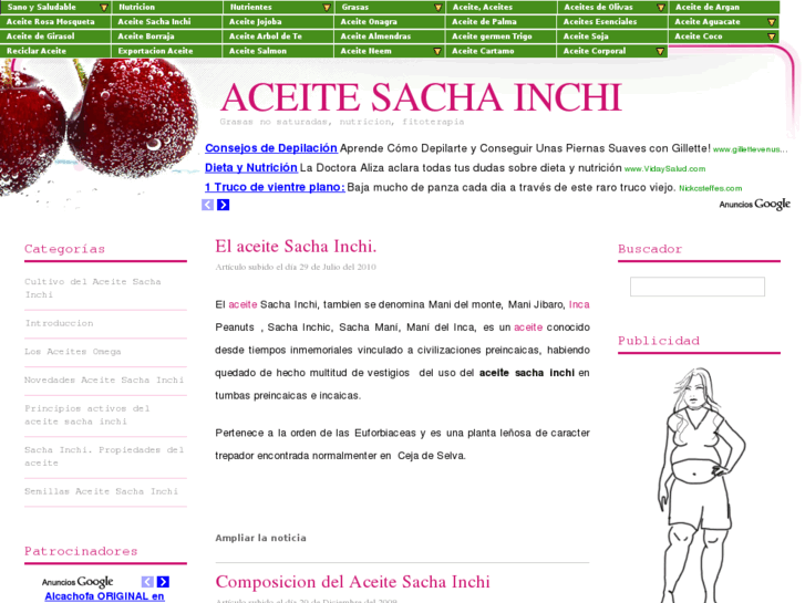 www.aceitesachainchi.net