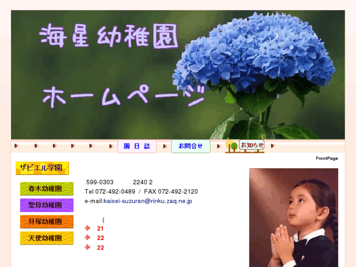 www.kaisei-kindergarten.com