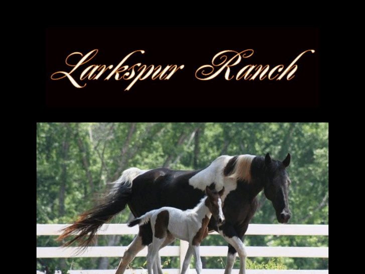 www.larkspurranch.com