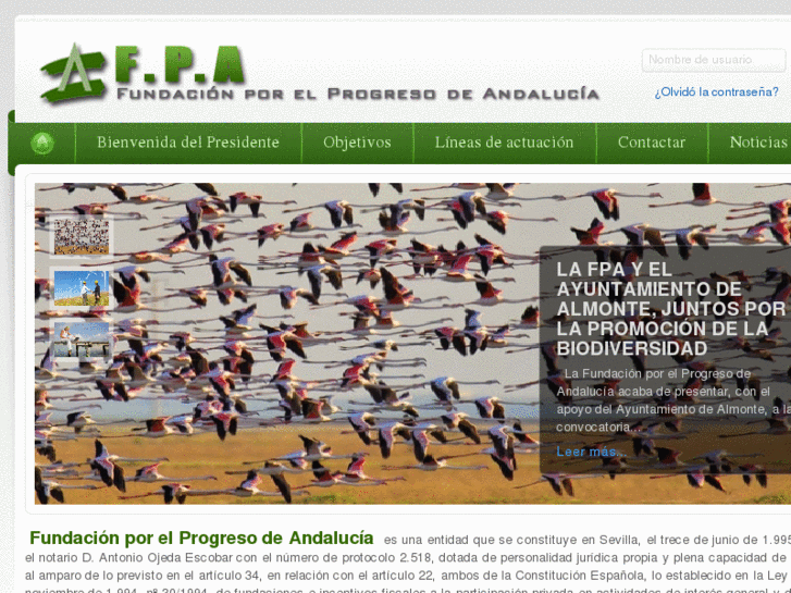 www.progresoandalucia.org