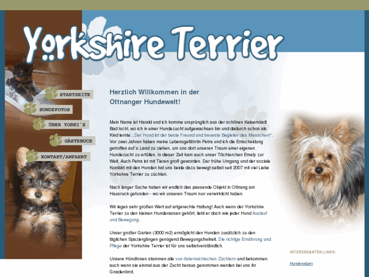 www.yorkshireterrierzucht.at