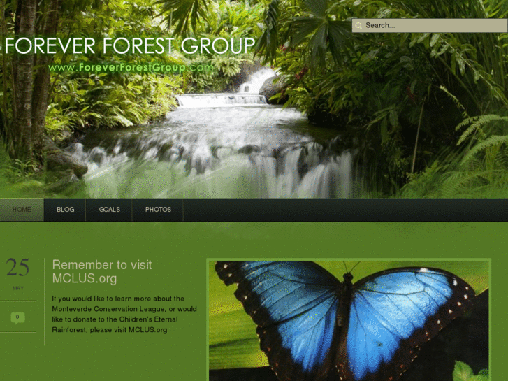 www.foreverforestgroup.com