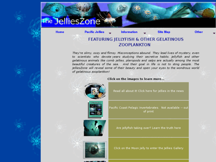 www.jellieszone.com