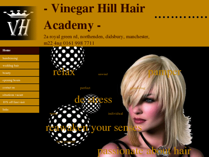 www.vinegar-hill-hair.com