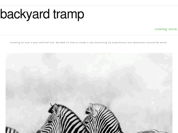 www.backyardtramp.com