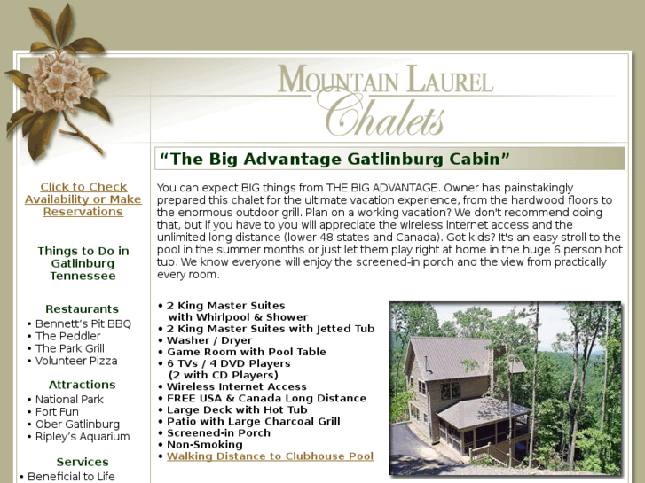 www.gatlinburgcabin-thebigadvantage.com