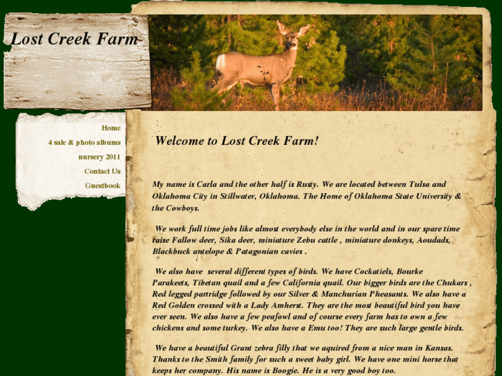 www.lostcreekfarm.com