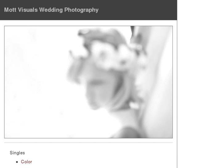 www.mottvisualsweddings.com