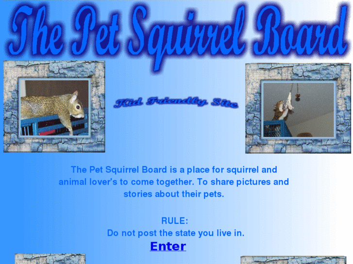 www.thepetsquirrelboard.com