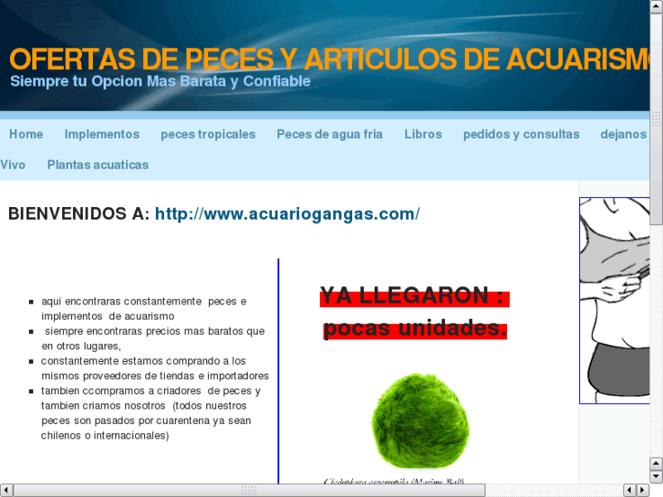 www.acuariogangas.com